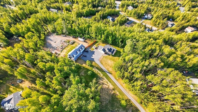 3361 N Inspiration Loop, Wasilla, AK 99654 - view of property location