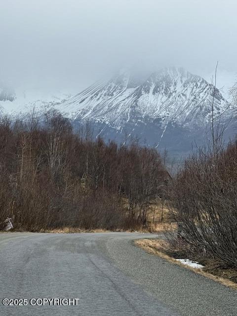 3463 Bear Ridge Cir, Eagle River, AK 99577 - photo 4