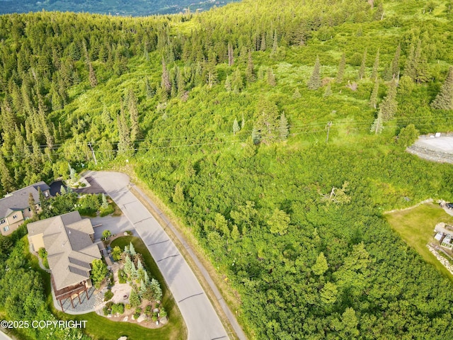 6550 Prominence Pointe Dr, Anchorage, AK 99516 - photo 1