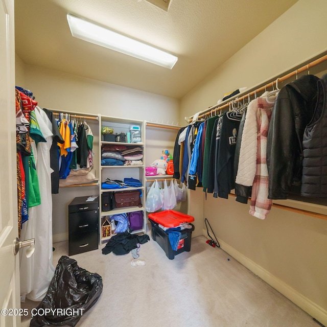 walk in closet with carpet floors