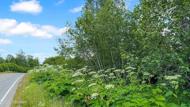 0 Wik Rd, Nikiski/North Kenai, AK 99611