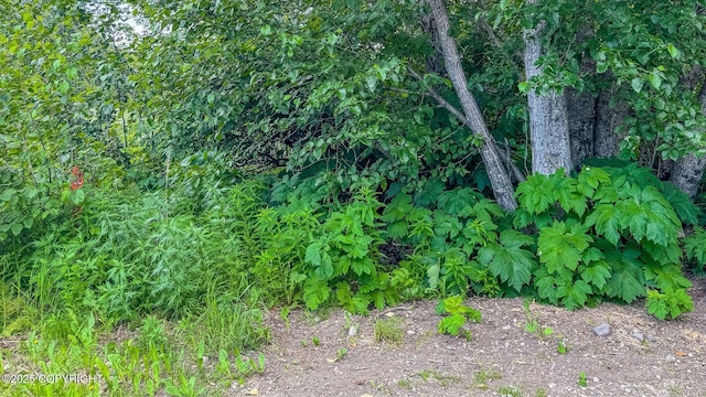 0 Wik Rd, Nikiski/North Kenai, AK 99611