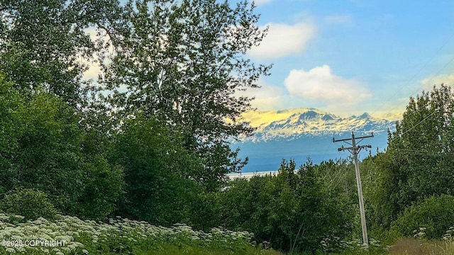 0 Wik Rd, Nikiski/North Kenai, AK 99611