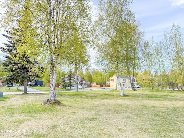 2731 E Tamarak Ave, Wasilla, AK 99654 - view of green lawn