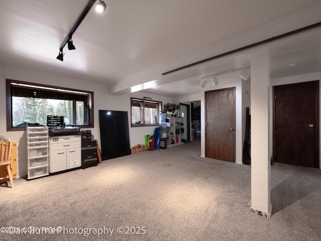 11730 Broadwater Dr, Eagle River, AK 99577 - basement featuring rail lighting and light colored carpet