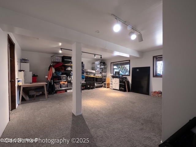 11730 Broadwater Dr, Eagle River, AK 99577 - basement featuring rail lighting, carpet, and a desk