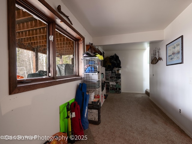 11730 Broadwater Dr, Eagle River, AK 99577 - view of storage