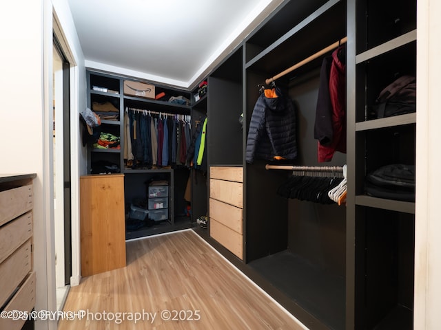 11730 Broadwater Dr, Eagle River, AK 99577 - spacious closet with wood finished floors