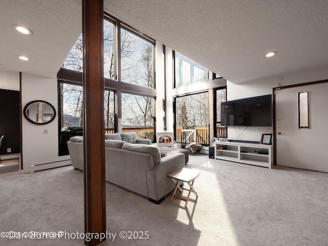 11730 Broadwater Dr, Eagle River, AK 99577 - living area featuring carpet flooring, expansive windows, a textured ceiling, baseboard heating, and a towering ceiling