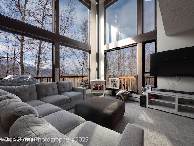 11730 Broadwater Dr, Eagle River, AK 99577 - living area featuring a high ceiling, carpet flooring, a wood stove, and a baseboard radiator