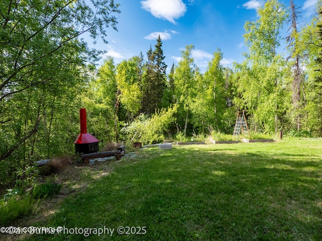 11730 Broadwater Dr, Eagle River, AK 99577 - view of grassy yard