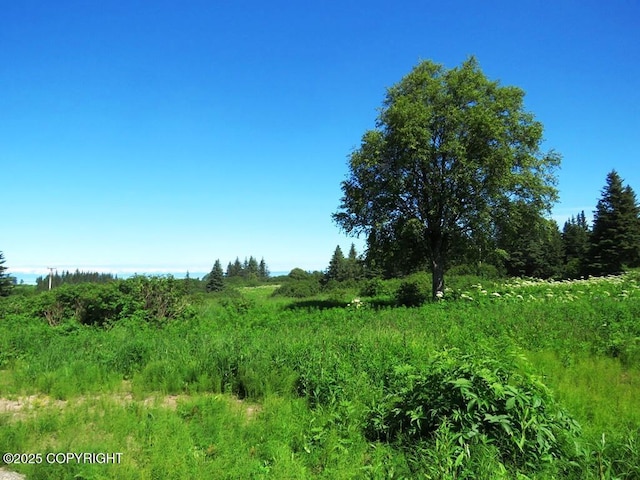 17203 Hyila Ln, Ninilchik, AK 99639 - photo 20