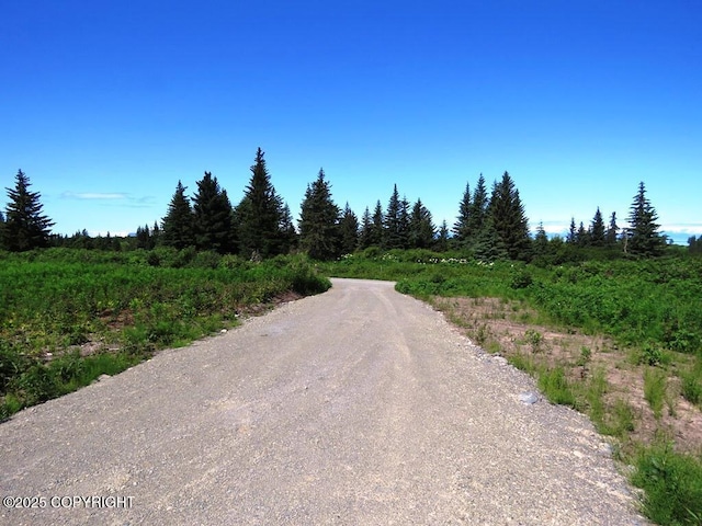 17203 Hyila Ln, Ninilchik, AK 99639 - photo 21