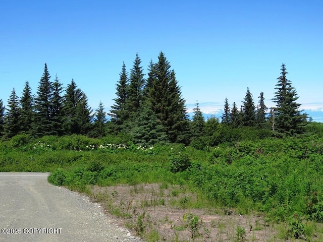 17203 Hyila Ln, Ninilchik, AK 99639 - photo 23