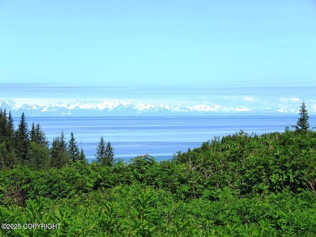 17203 Hyila Ln, Ninilchik, AK 99639 - photo 2