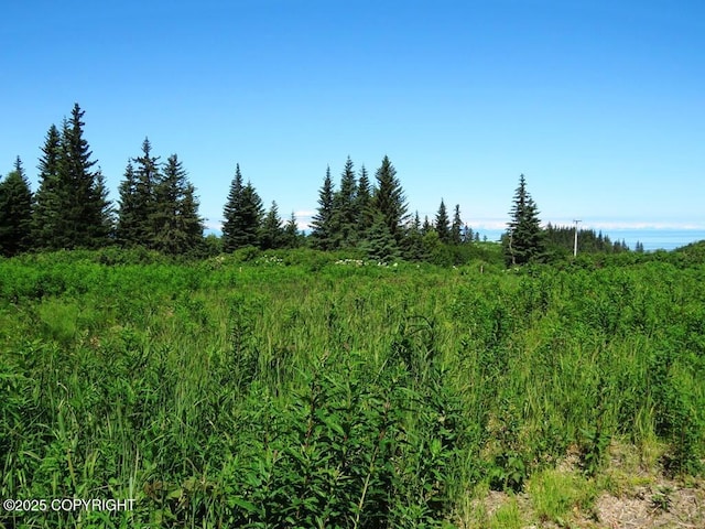 17203 Hyila Ln, Ninilchik, AK 99639 - photo 4