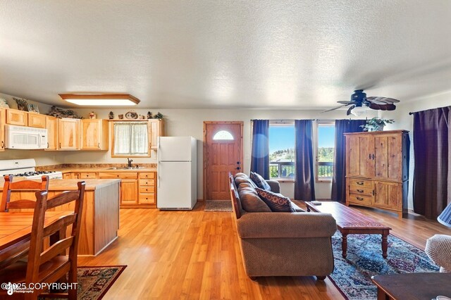 22045 Becharof Cir, Kasilof, AK 99610 - living room with light wood finished floors, a ceiling fan, and a textured ceiling