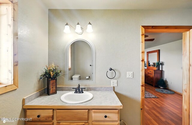22045 Becharof Cir, Kasilof, AK 99610 - bathroom with wood finished floors and vanity