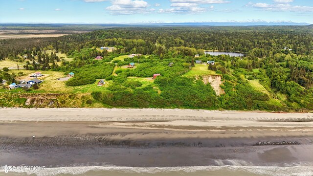 22045 Becharof Cir, Kasilof, AK 99610 - drone / aerial view of a forest and a nearby body of water