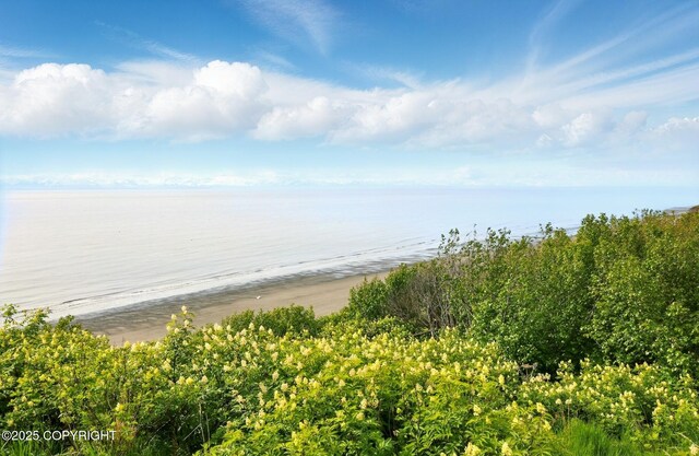 22045 Becharof Cir, Kasilof, AK 99610 - water view featuring local beach