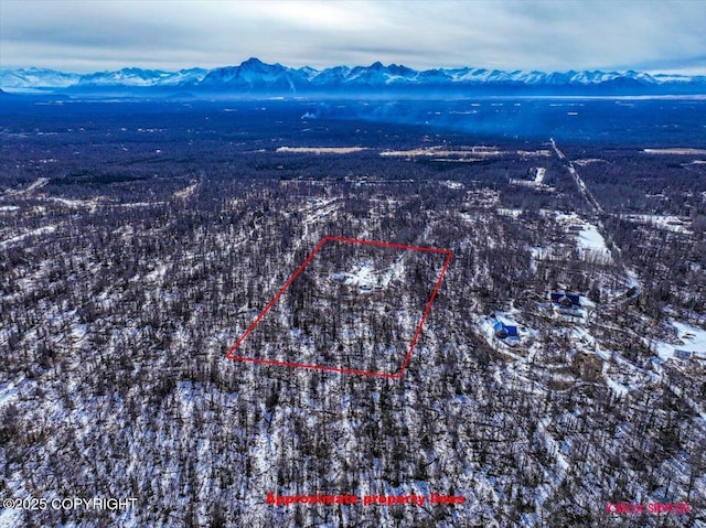 bird's eye view featuring a mountain view