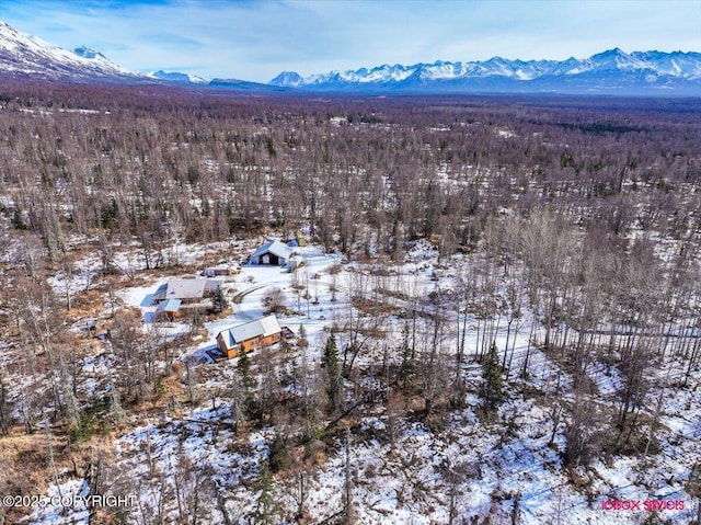 snowy aerial view featuring a mountain view and a view of trees