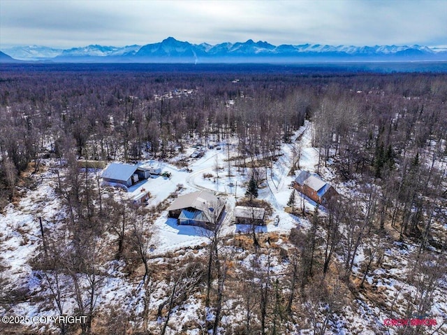 snowy aerial view with a view of trees and a mountain view