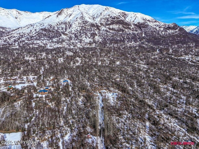 property view of mountains