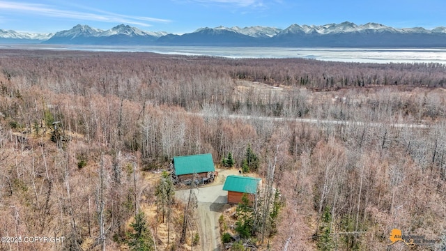aerial view featuring a wooded view and a mountain view
