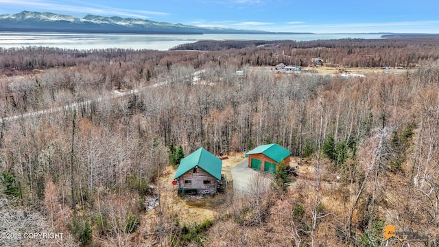 birds eye view of property featuring a view of trees and a water and mountain view