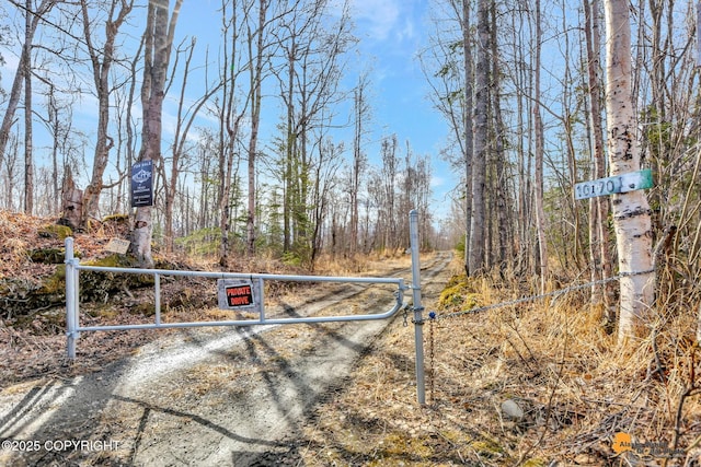 view of road with a gated entry and a gate