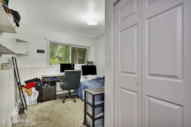 3550 Kachemak Cir, Anchorage, AK 99515 - office space with carpet floors and baseboard heating