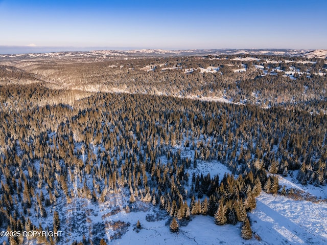NKA Shelton Avenue, Homer, AK 99603