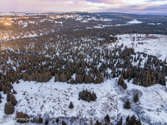 NKA Shelton Avenue, Homer, AK 99603