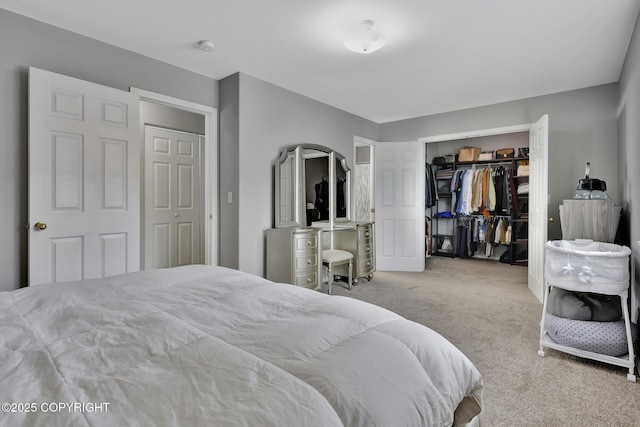 2460 Lochenshire Pl Unit 21, Anchorage, AK 99504 - bedroom with carpet flooring and a closet