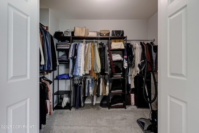2460 Lochenshire Pl Unit 21, Anchorage, AK 99504 - spacious closet featuring carpet