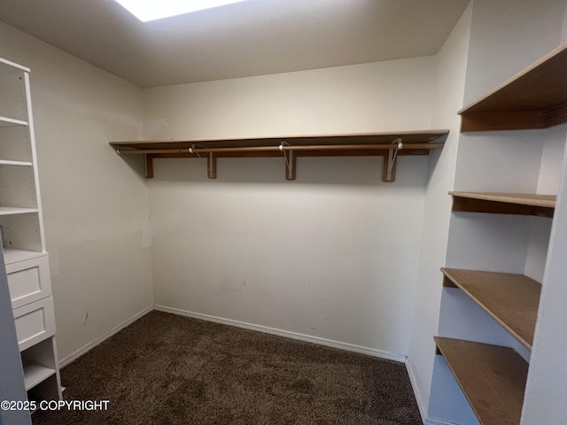 spacious closet featuring carpet flooring