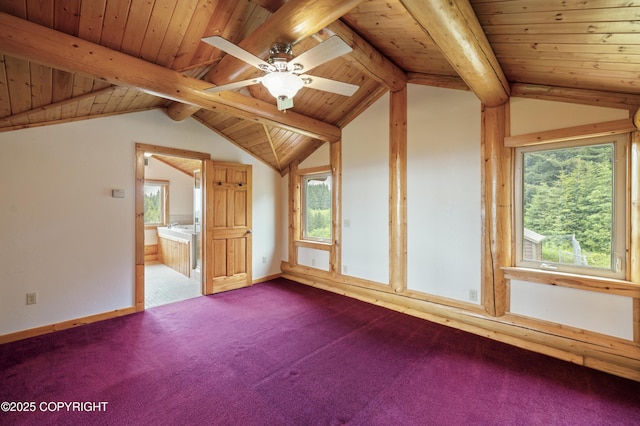 64264 Mineral Dr, Homer, AK 99603 - photo 32