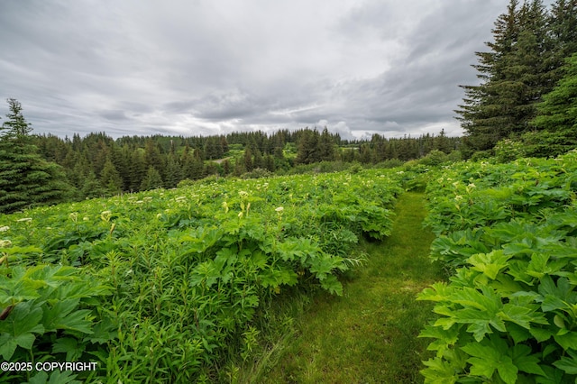 64264 Mineral Dr, Homer, AK 99603 - photo 45