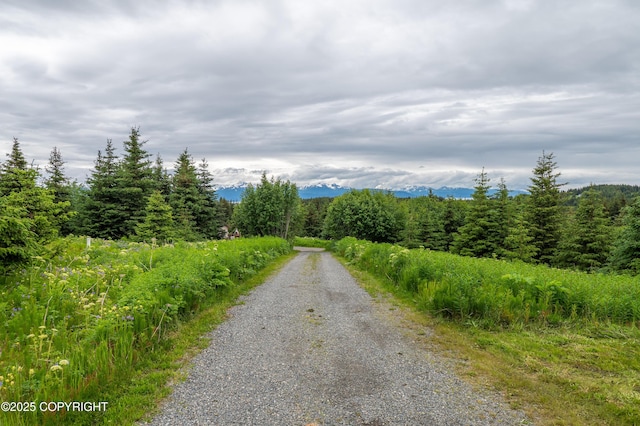 64264 Mineral Dr, Homer, AK 99603 - photo 53