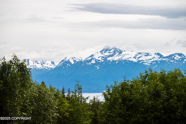 64264 Mineral Dr, Homer, AK 99603 - photo 55