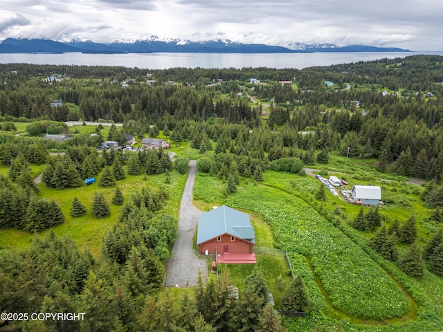 64264 Mineral Dr, Homer, AK 99603 - photo 59