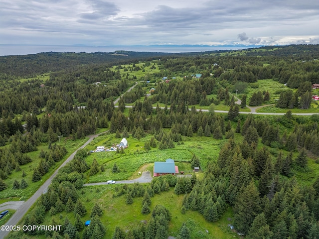 64264 Mineral Dr, Homer, AK 99603 - photo 60