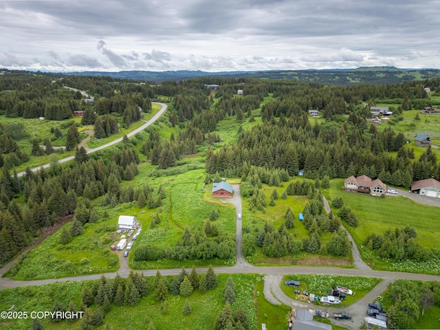 64264 Mineral Dr, Homer, AK 99603 - photo 61