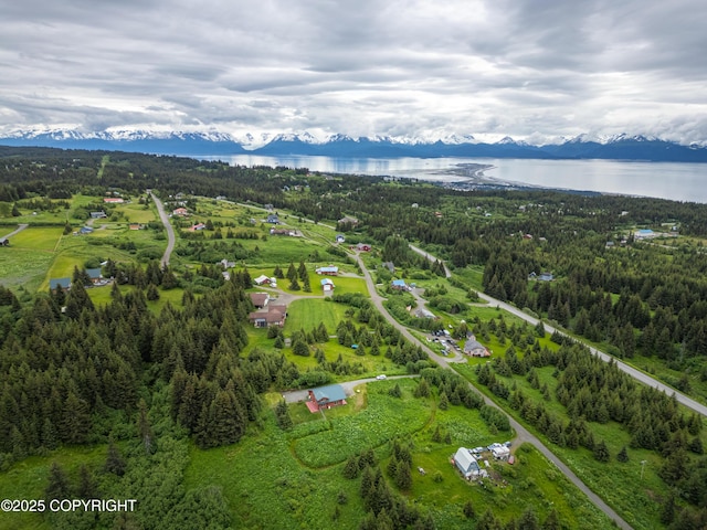 64264 Mineral Dr, Homer, AK 99603 - photo 62