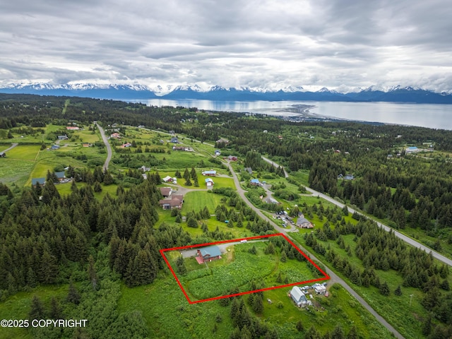 64264 Mineral Dr, Homer, AK 99603 - photo 63