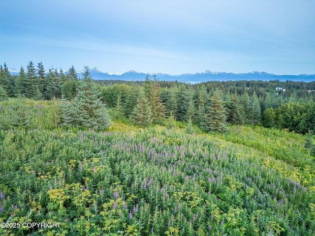 64264 Mineral Dr, Homer, AK 99603 - photo 64