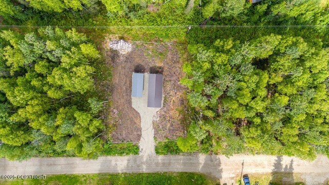 24600 N Otter Lk Lp, Willow, AK 99688