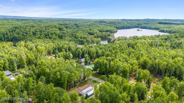 24600 N Otter Lk Lp, Willow, AK 99688