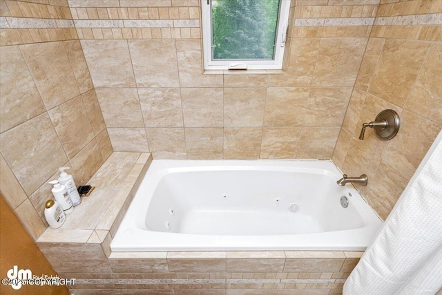 13598 N Willow Dr, Willow, AK 99688 - view of full bathroom